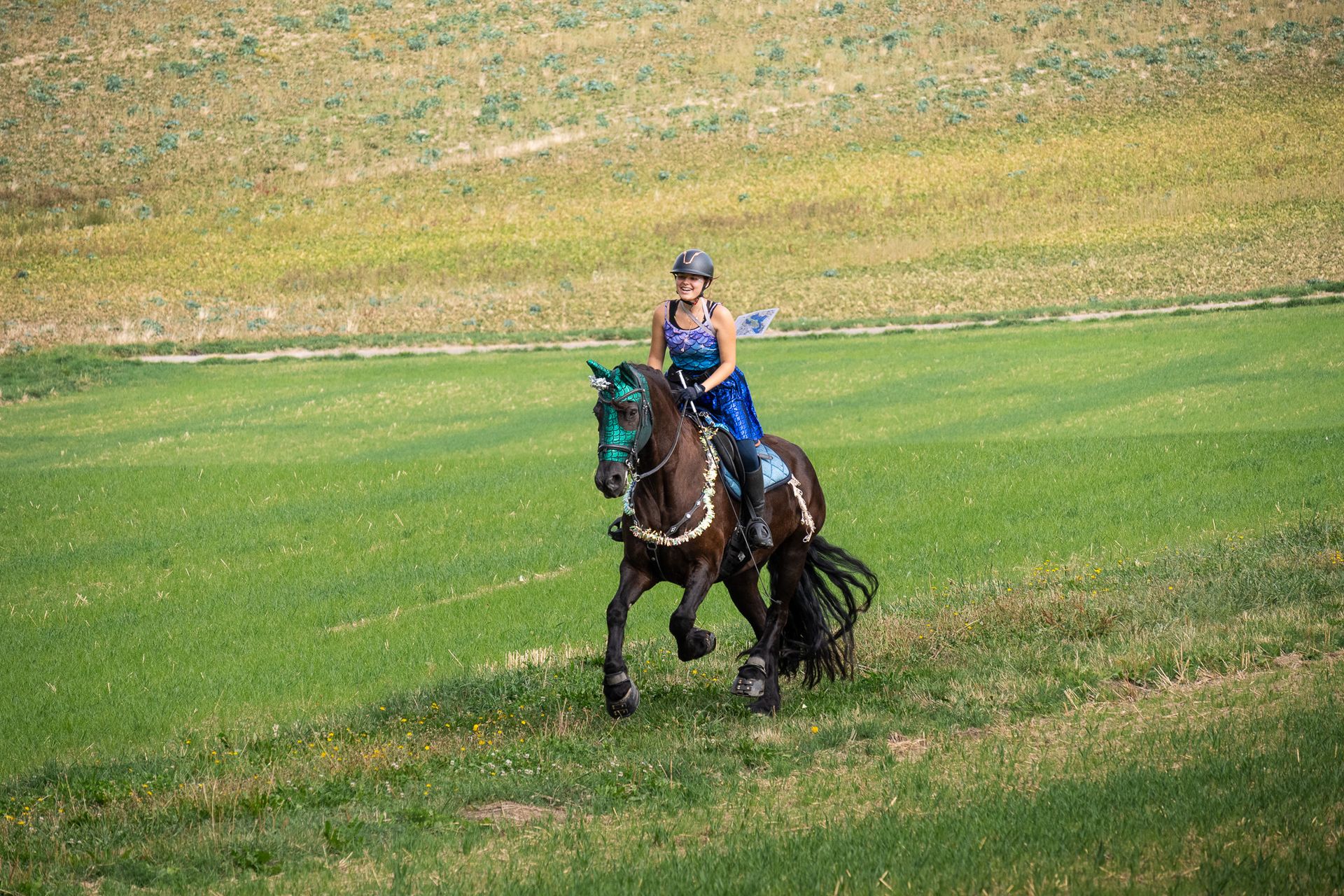 Horsestrail Combremont du 5 septembre 2026 — photo 57 du reportage PawsOnTrack