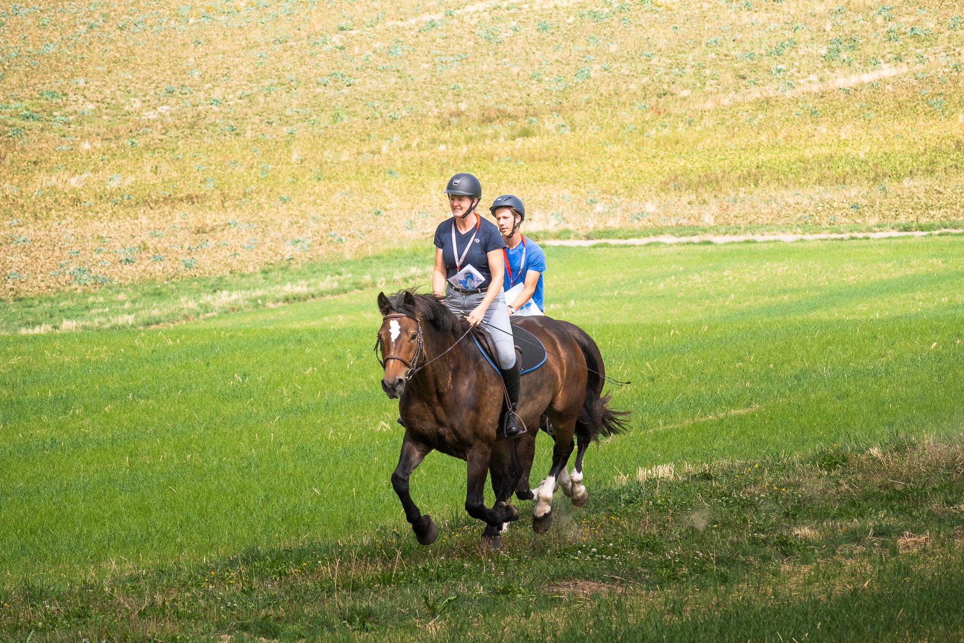 Horsestrail Combremont du 5 septembre 2026 — photo 87 du reportage PawsOnTrack