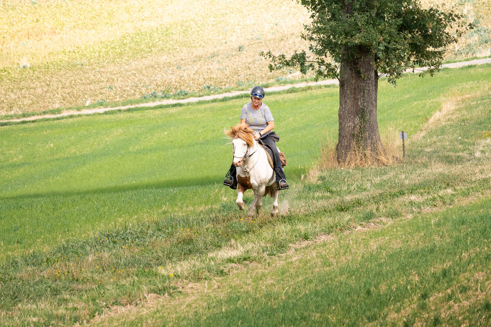Horsestrail Combremont du 5 septembre 2026 — photo 66 du reportage PawsOnTrack