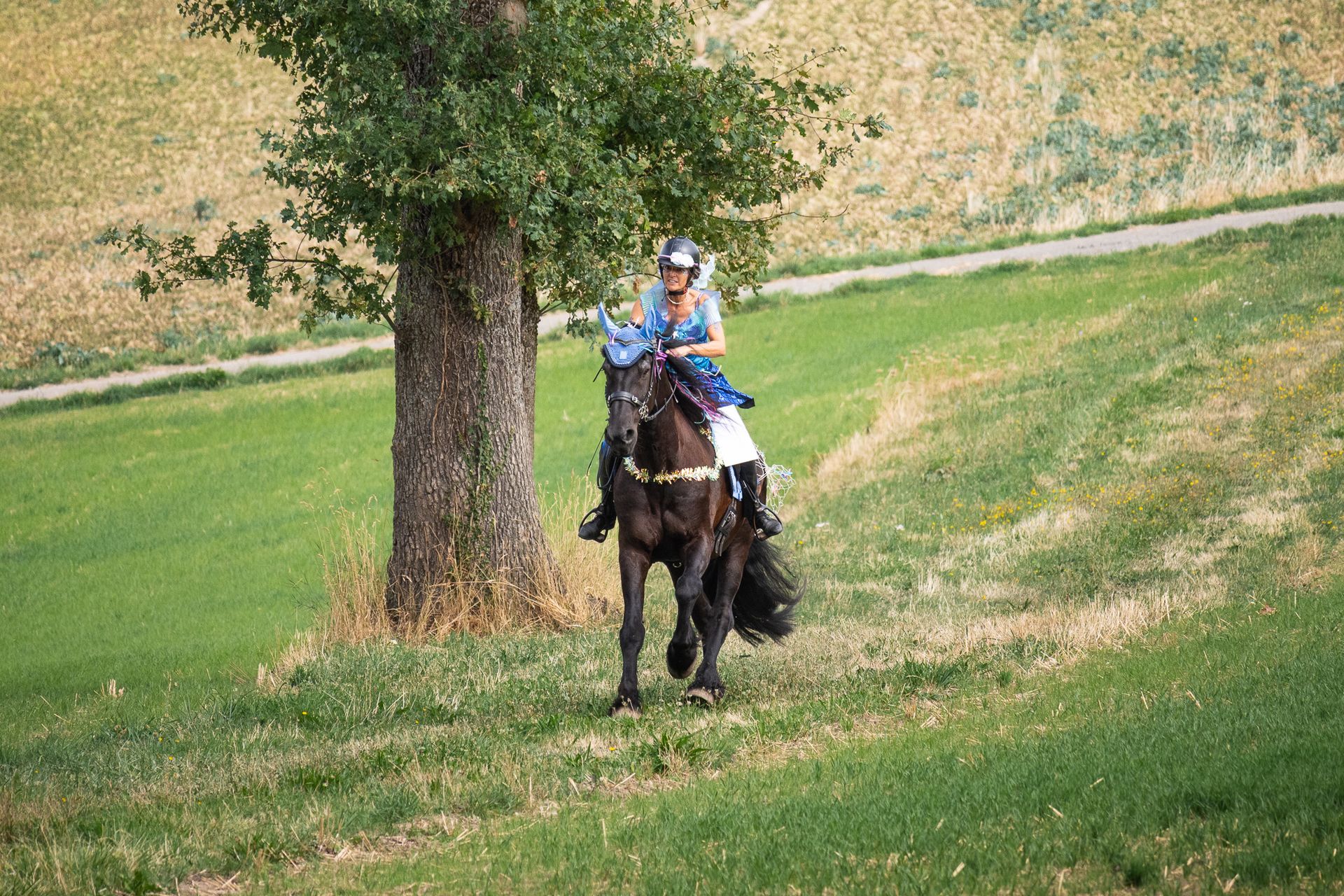 Horsestrail Combremont du 5 septembre 2026 — photo 78 du reportage PawsOnTrack