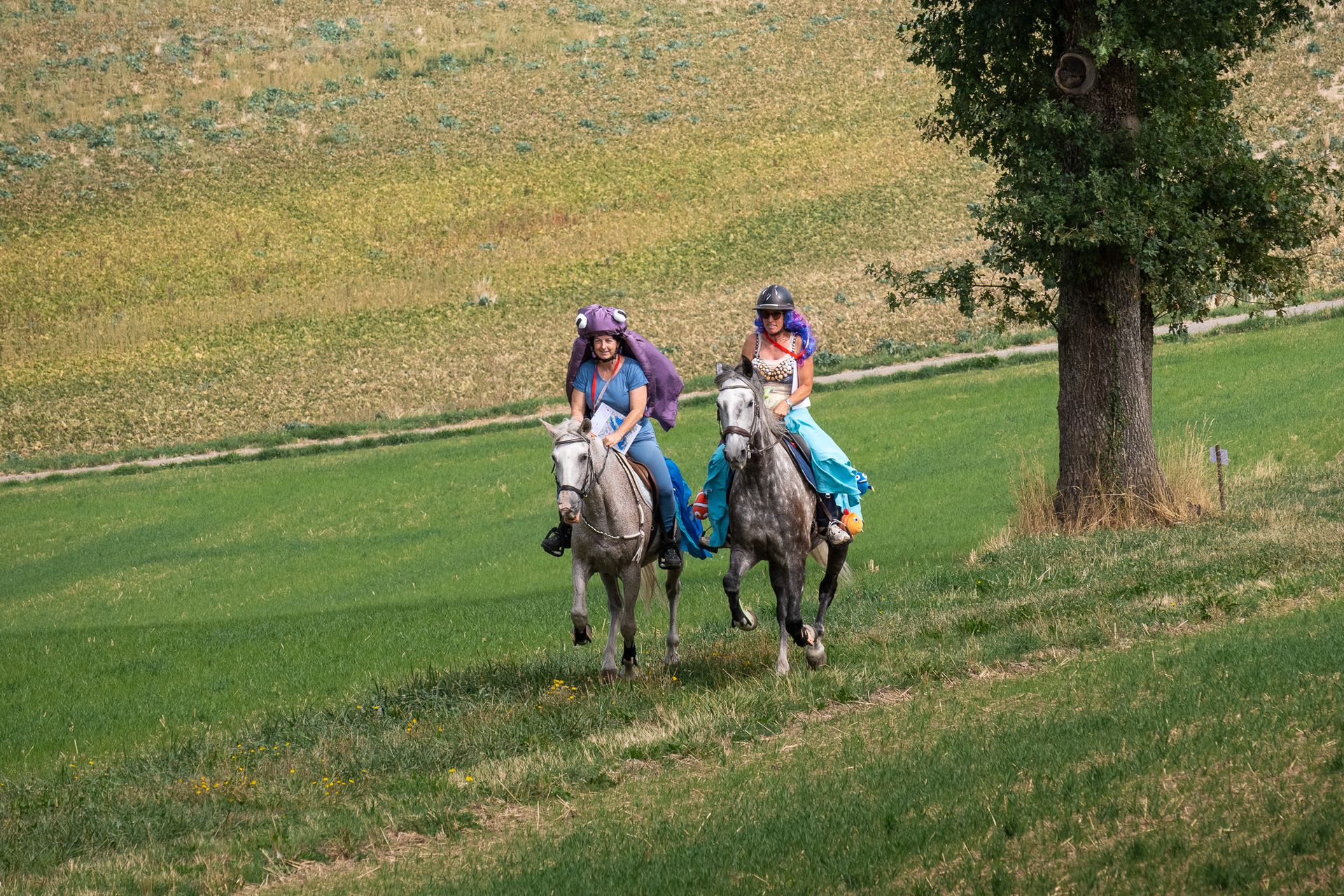 Horsestrail Combremont du 5 septembre 2026 — photo 132 du reportage PawsOnTrack