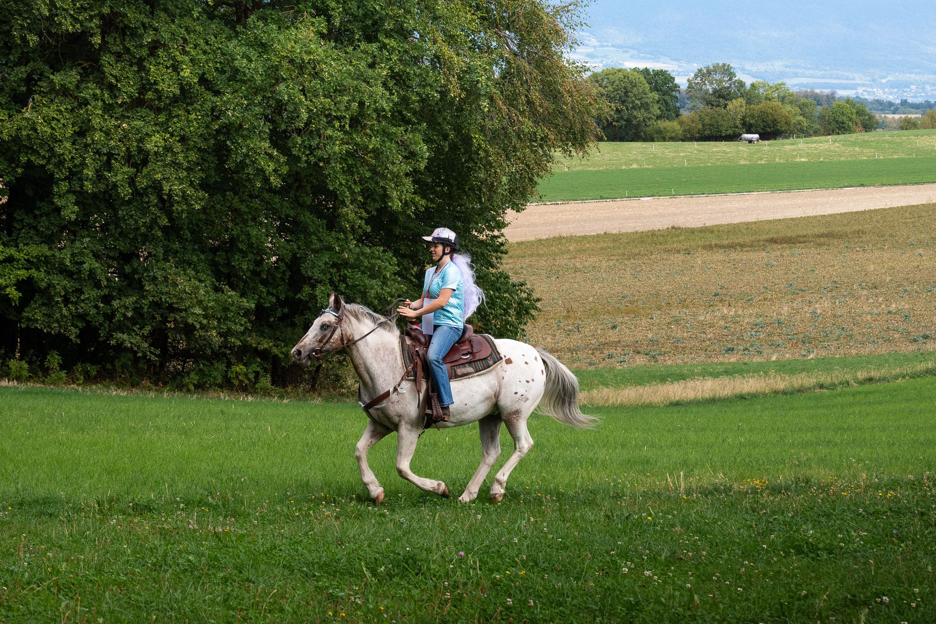 Horsestrail Combremont du 5 septembre 2026 — photo 117 du reportage PawsOnTrack