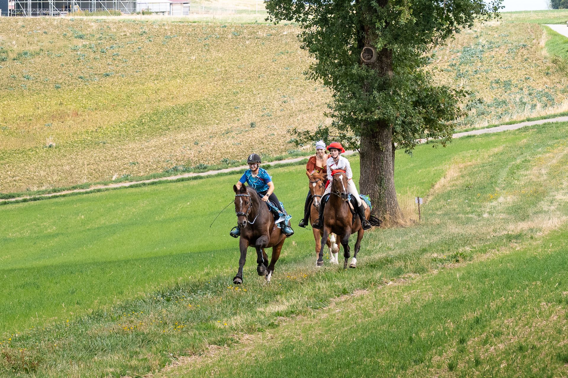 Horsestrail Combremont du 5 septembre 2026 — photo 176 du reportage PawsOnTrack