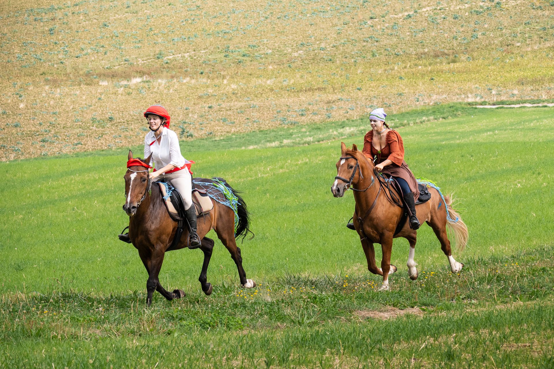 Horsestrail Combremont du 5 septembre 2026 — photo 61 du reportage PawsOnTrack