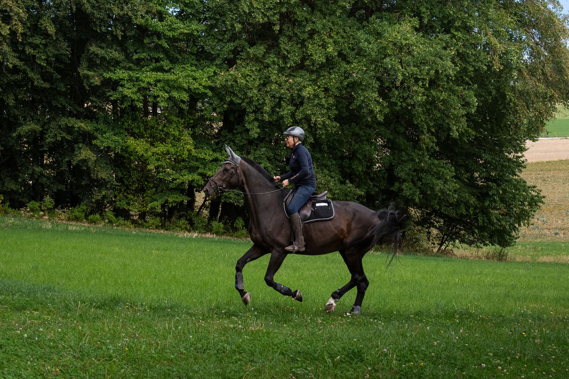 Horsestrail Combremont du 5 septembre 2026 — photo 120 du reportage PawsOnTrack