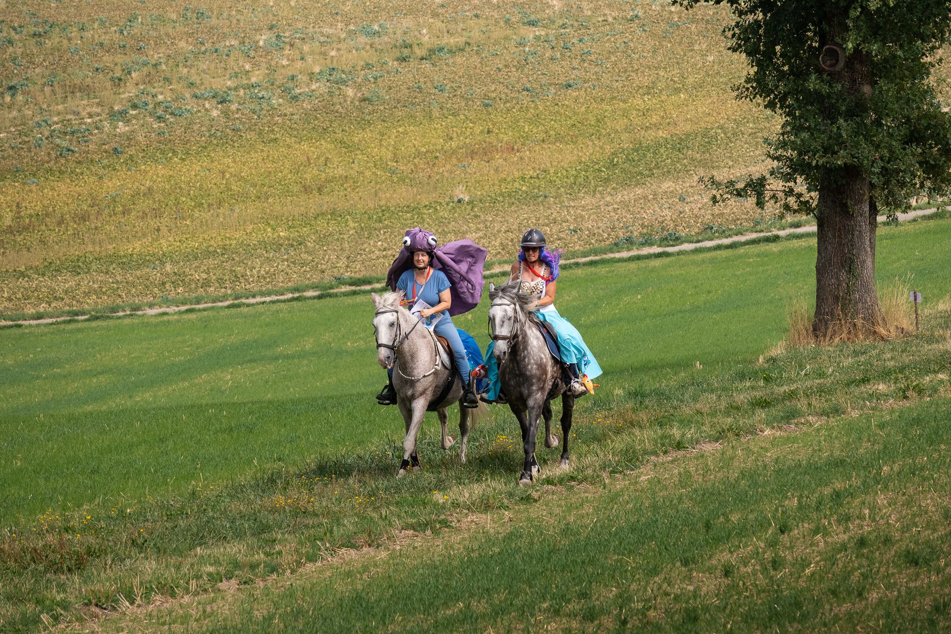 Horsestrail Combremont du 5 septembre 2026 — photo 114 du reportage PawsOnTrack
