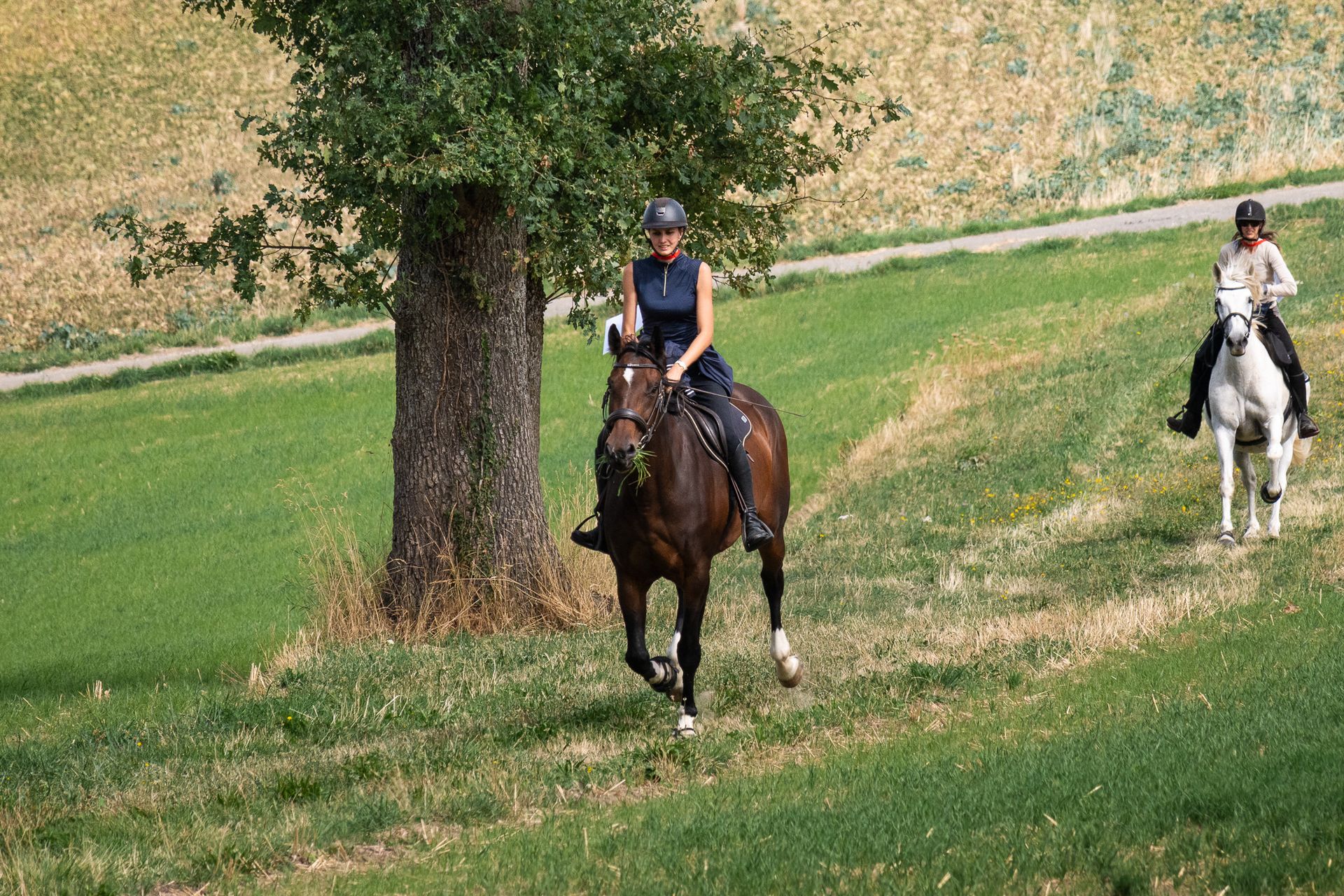 Horsestrail Combremont du 5 septembre 2026 — photo 99 du reportage PawsOnTrack