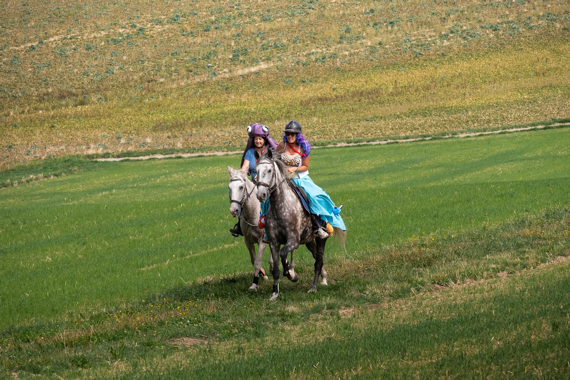 Horsestrail Combremont du 5 septembre 2026 — photo 135 du reportage PawsOnTrack