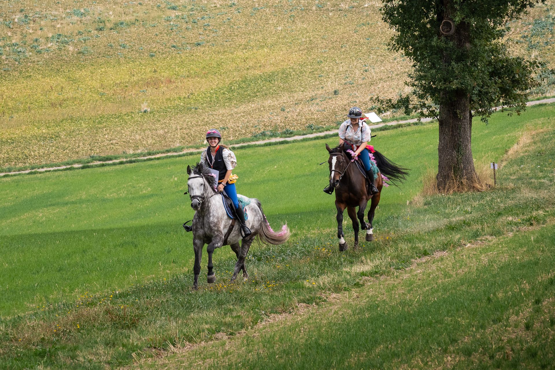 Horsestrail Combremont du 5 septembre 2026 — photo 123 du reportage PawsOnTrack
