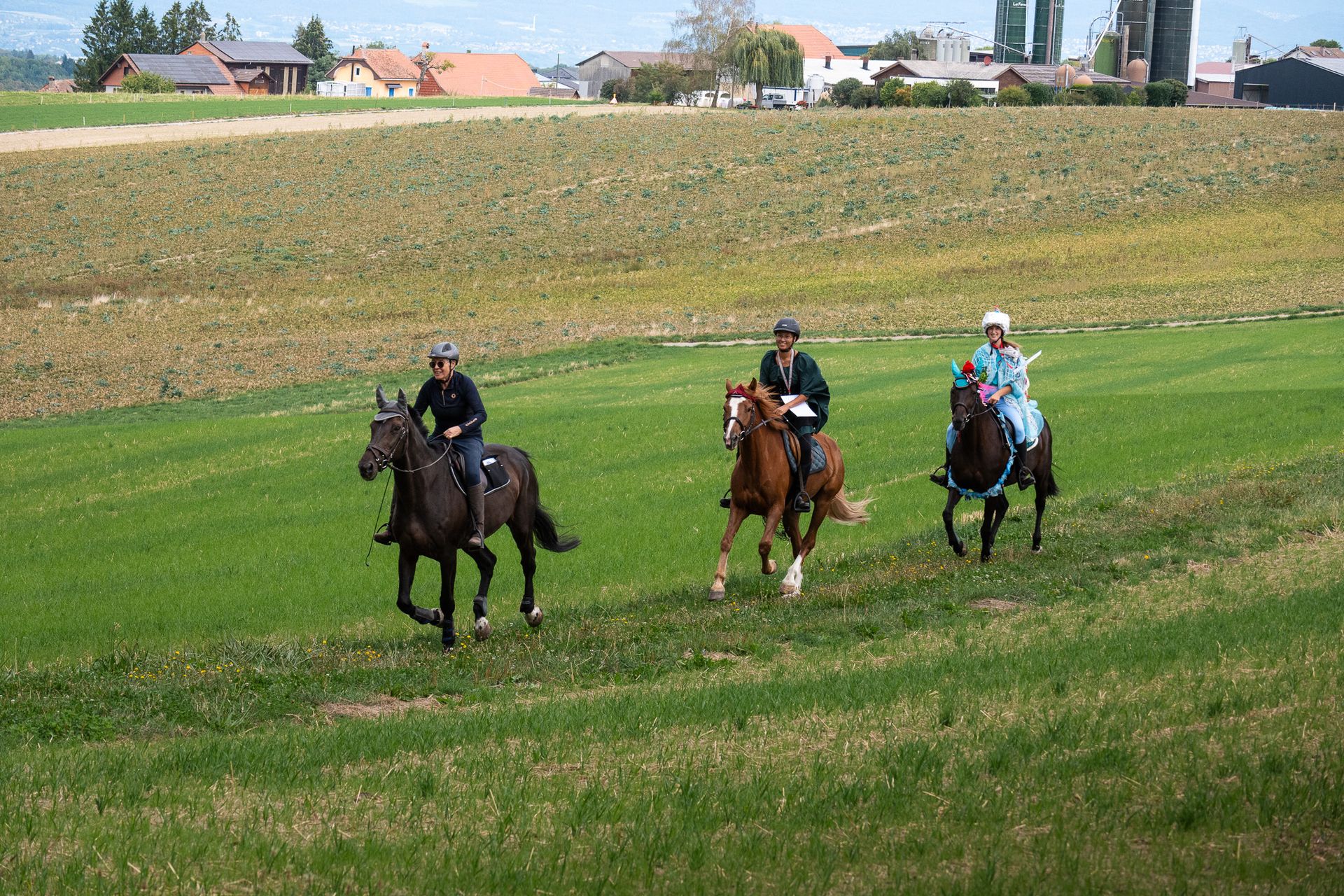 Horsestrail Combremont du 5 septembre 2026 — photo 111 du reportage PawsOnTrack