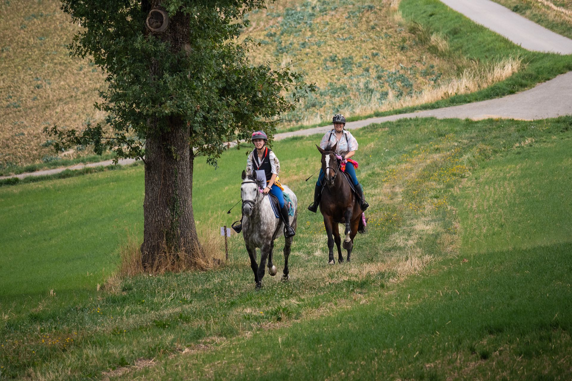 Horsestrail Combremont du 5 septembre 2026 — photo 19 du reportage PawsOnTrack