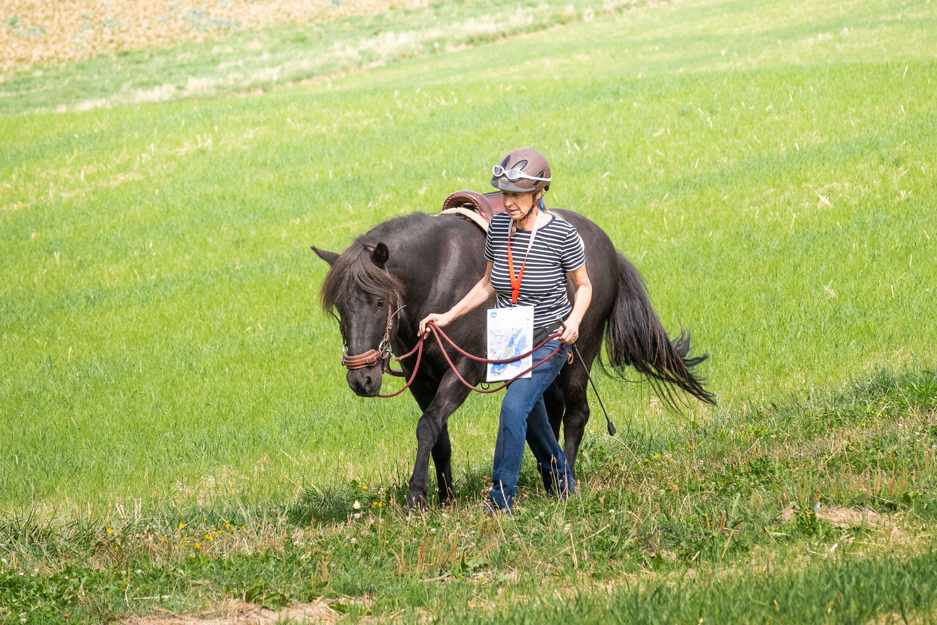 Horsestrail Combremont du 5 septembre 2026 — photo 52 du reportage PawsOnTrack