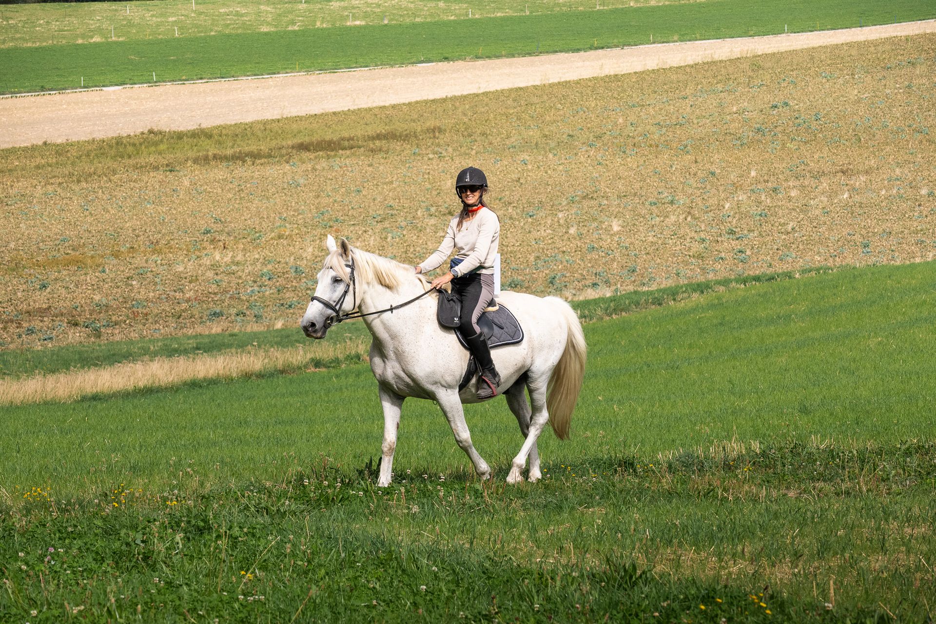 Horsestrail Combremont du 5 septembre 2026 — photo 79 du reportage PawsOnTrack