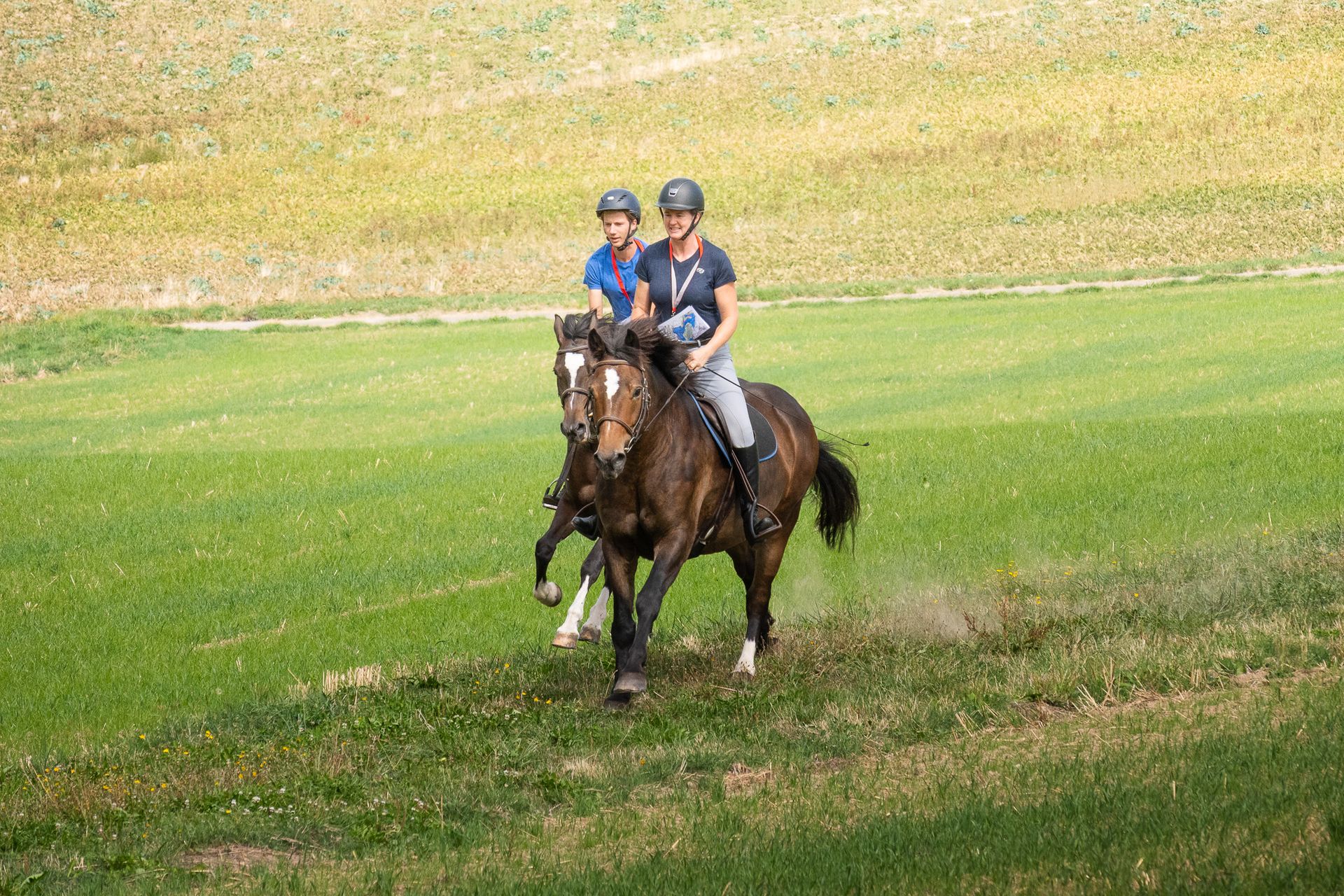 Horsestrail Combremont du 5 septembre 2026 — photo 76 du reportage PawsOnTrack