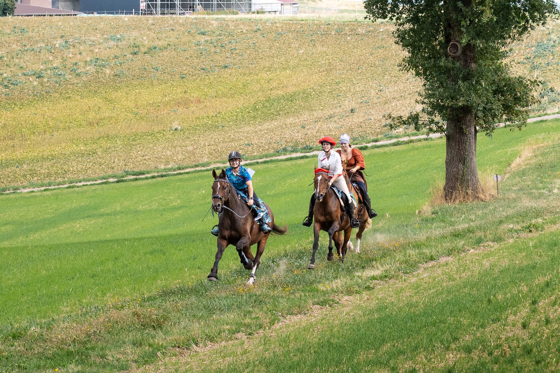 Horsestrail Combremont du 5 septembre 2026 — photo 186 du reportage PawsOnTrack