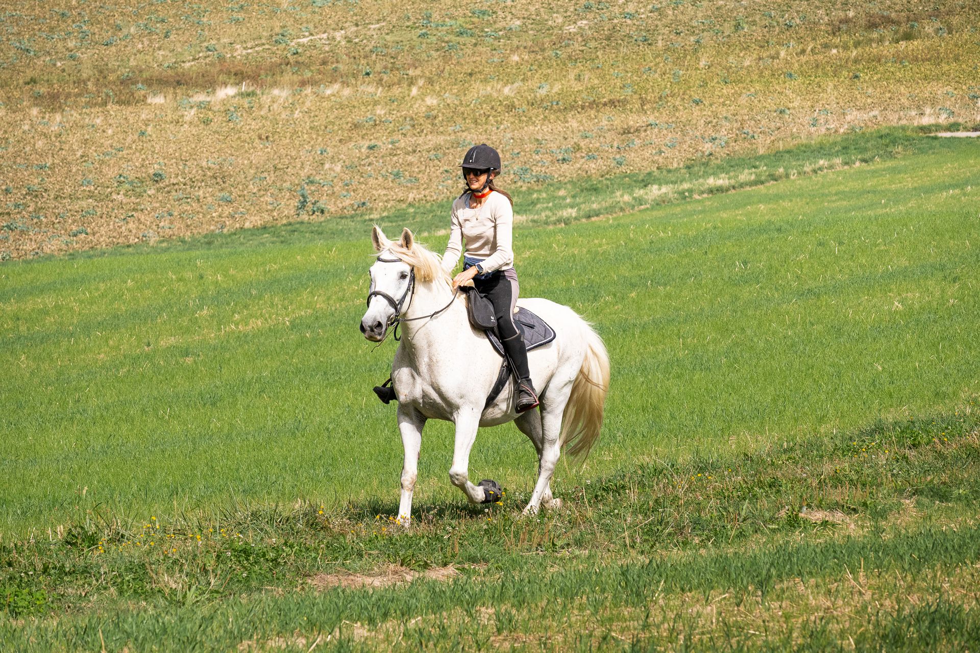 Horsestrail Combremont du 5 septembre 2026 — photo 156 du reportage PawsOnTrack