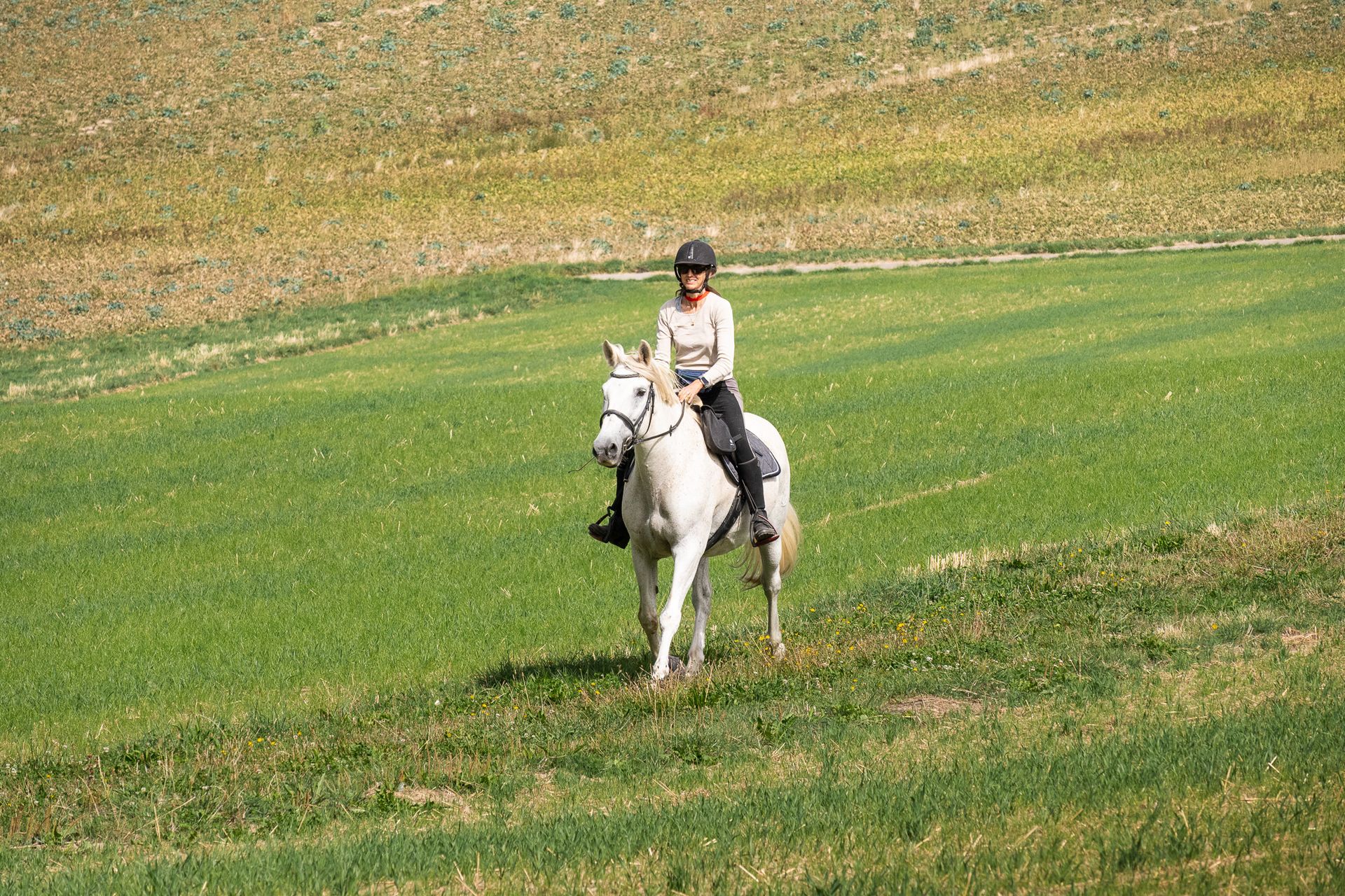 Horsestrail Combremont du 5 septembre 2026 — photo 177 du reportage PawsOnTrack
