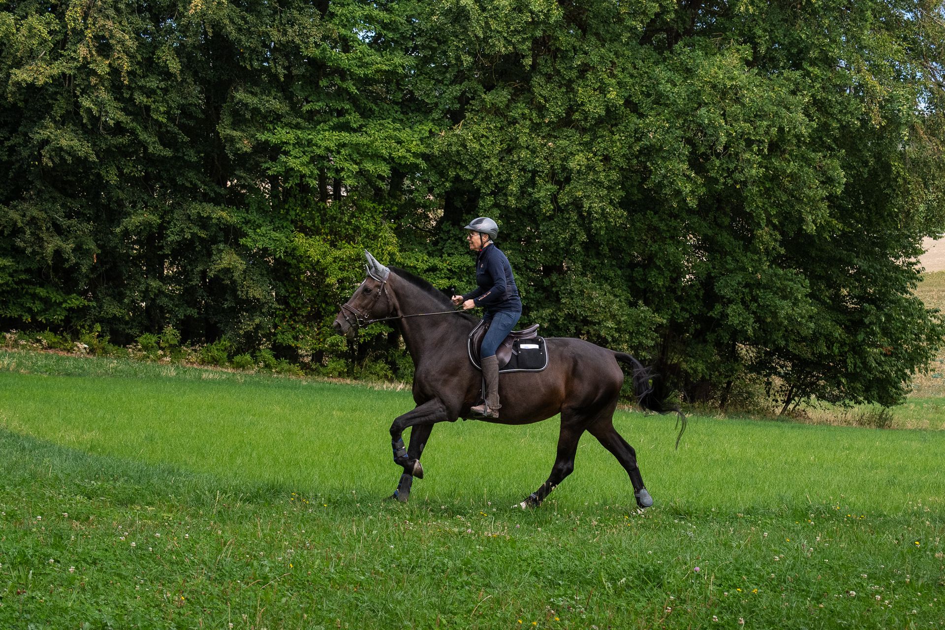 Horsestrail Combremont du 5 septembre 2026 — photo 174 du reportage PawsOnTrack