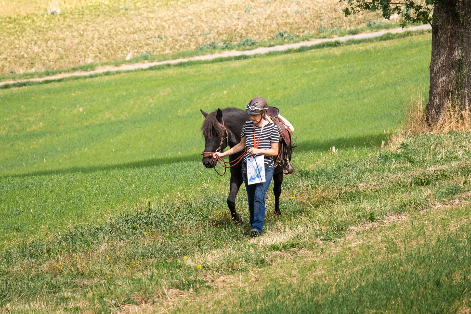 Horsestrail Combremont du 5 septembre 2026 — photo 70 du reportage PawsOnTrack