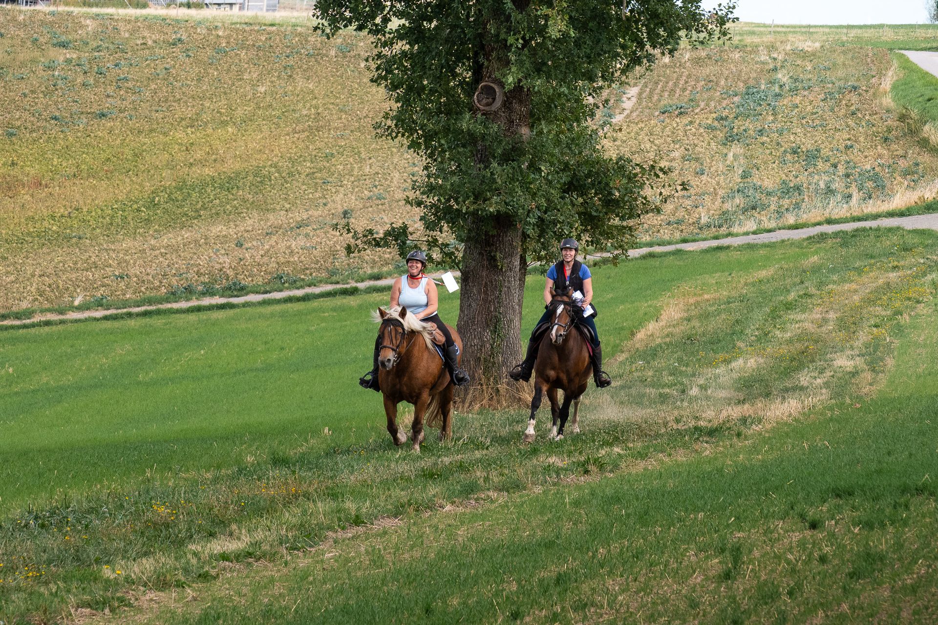 Horsestrail Combremont du 5 septembre 2026 — photo 147 du reportage PawsOnTrack