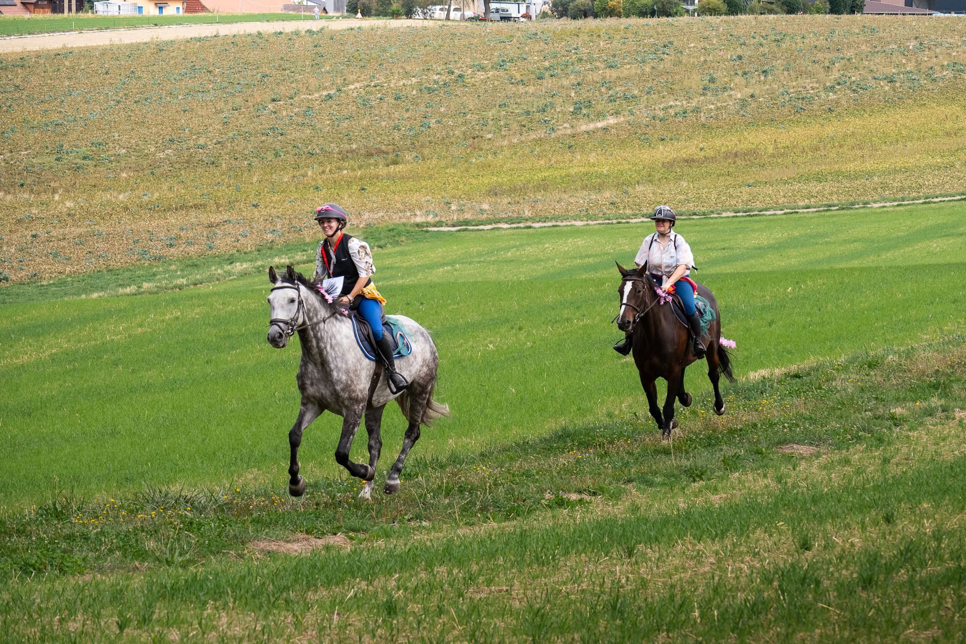Horsestrail Combremont du 5 septembre 2026 — photo 153 du reportage PawsOnTrack