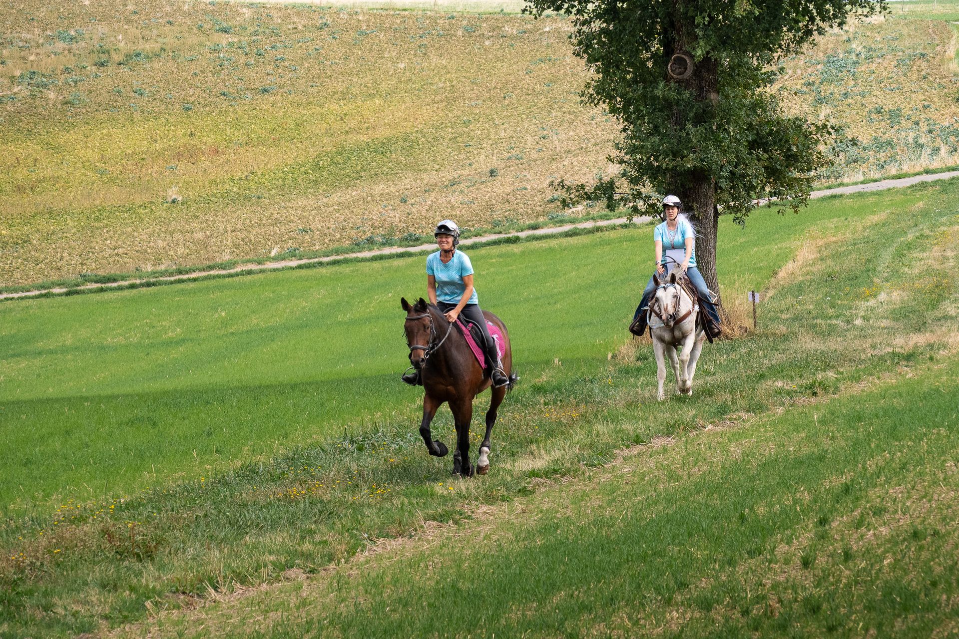 Horsestrail Combremont du 5 septembre 2026 — photo 180 du reportage PawsOnTrack