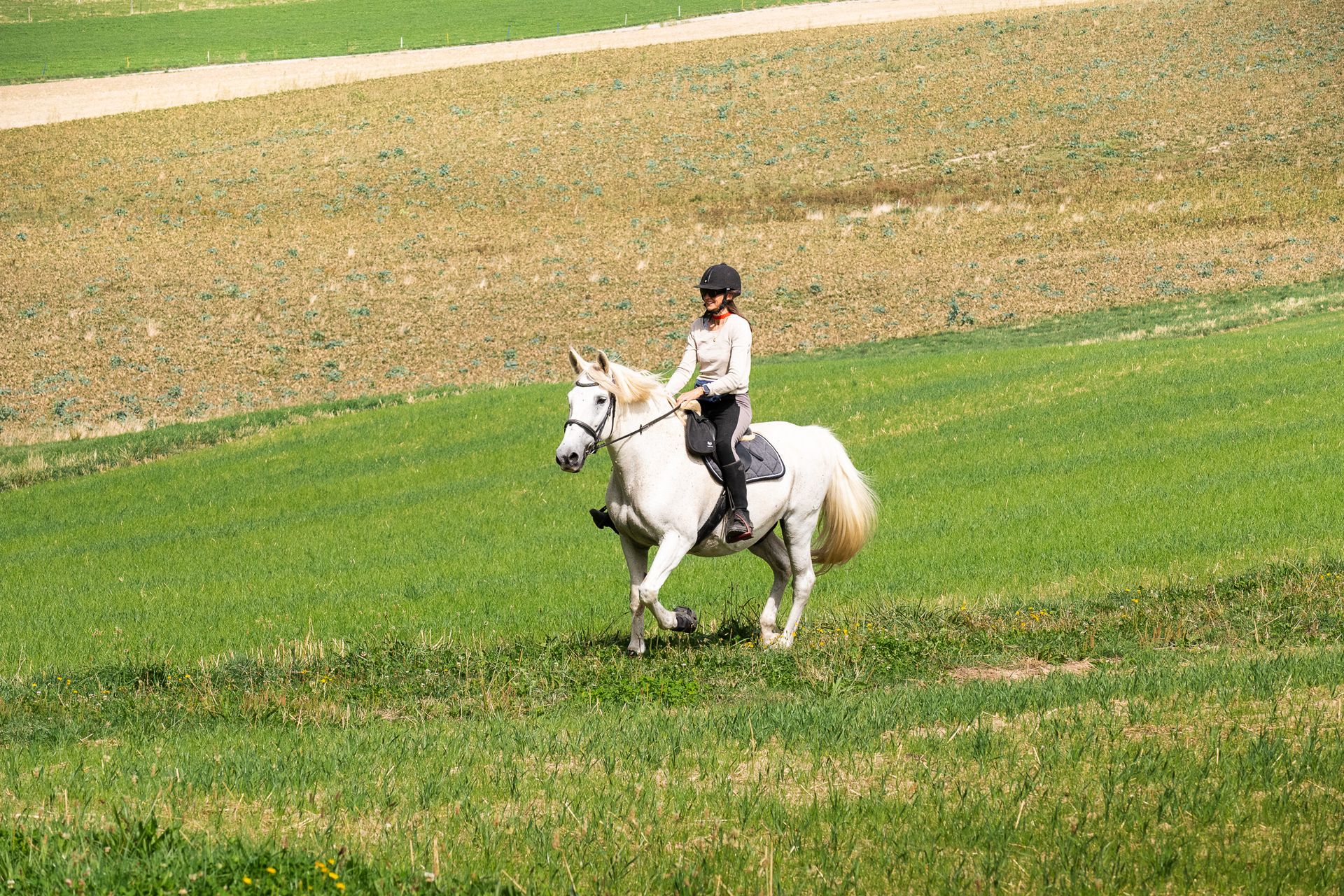 Horsestrail Combremont du 5 septembre 2026 — photo 189 du reportage PawsOnTrack