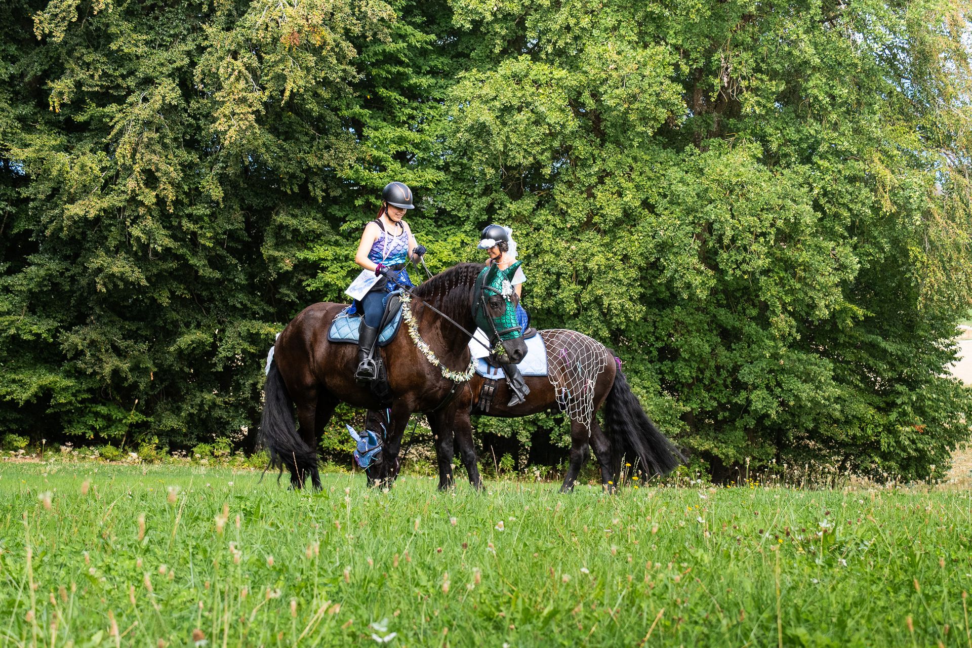 Horsestrail Combremont du 5 septembre 2026 — photo 197 du reportage PawsOnTrack