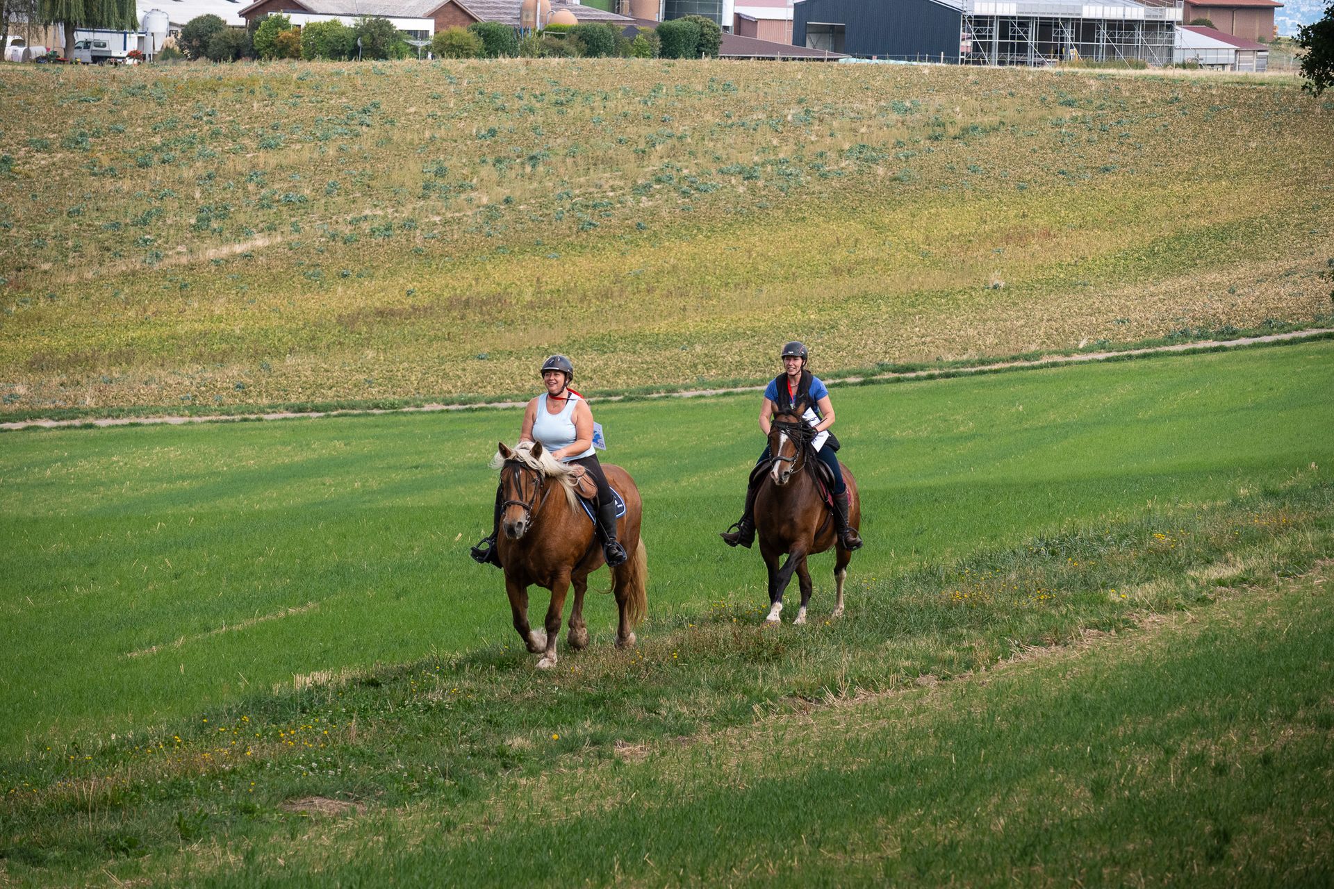 Horsestrail Combremont du 5 septembre 2026 — photo 100 du reportage PawsOnTrack