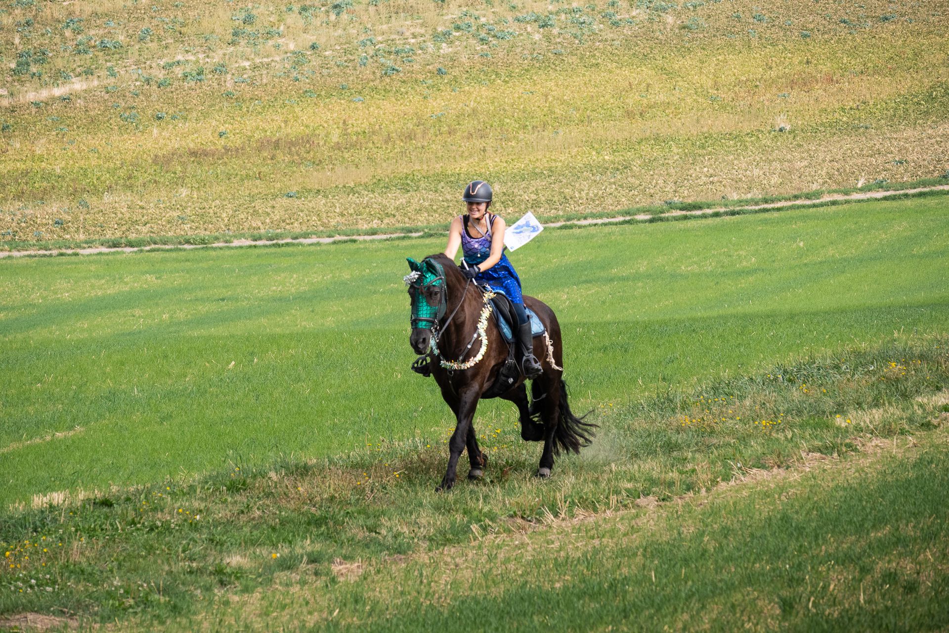 Horsestrail Combremont du 5 septembre 2026 — photo 82 du reportage PawsOnTrack