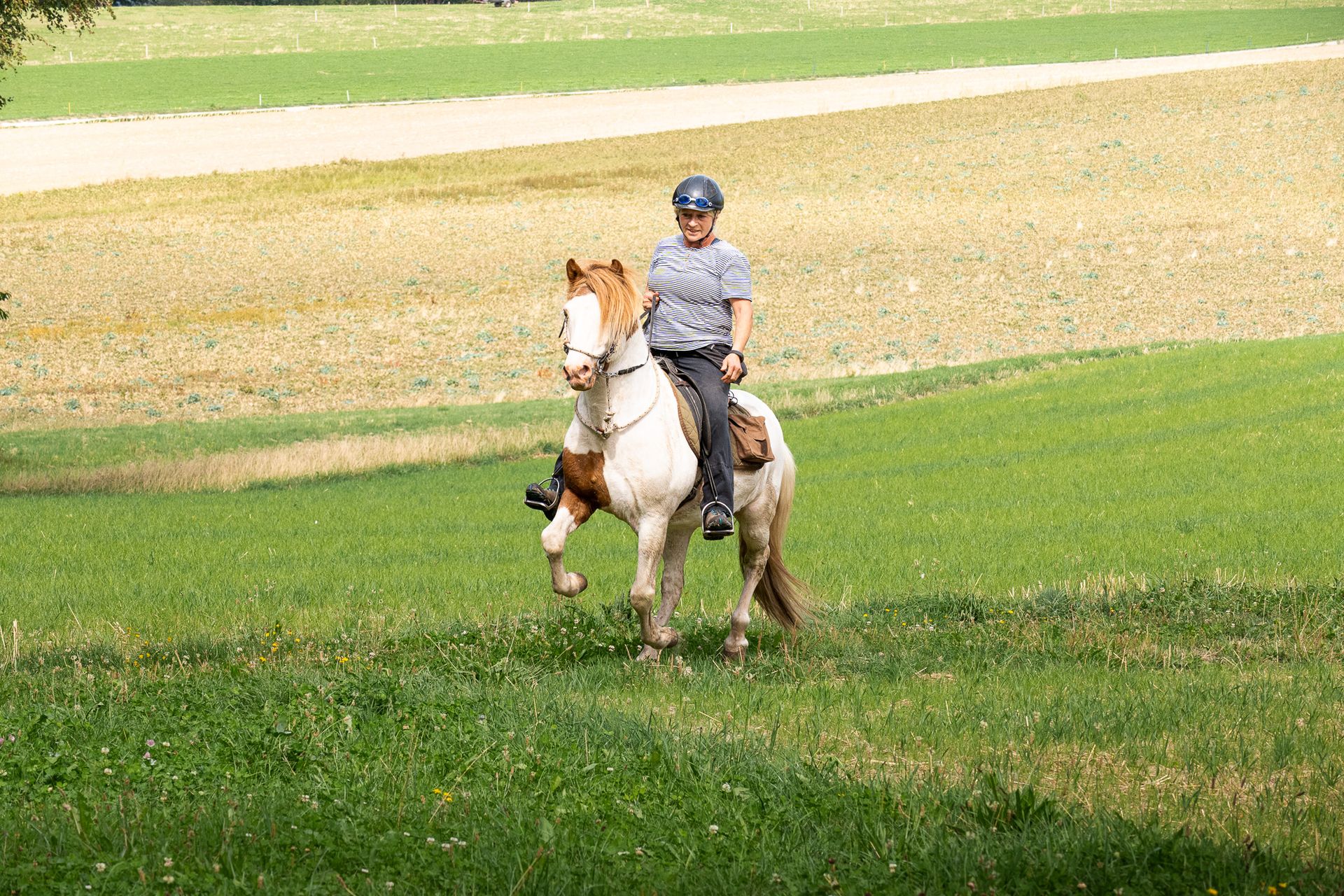 Horsestrail Combremont du 5 septembre 2026 — photo 97 du reportage PawsOnTrack
