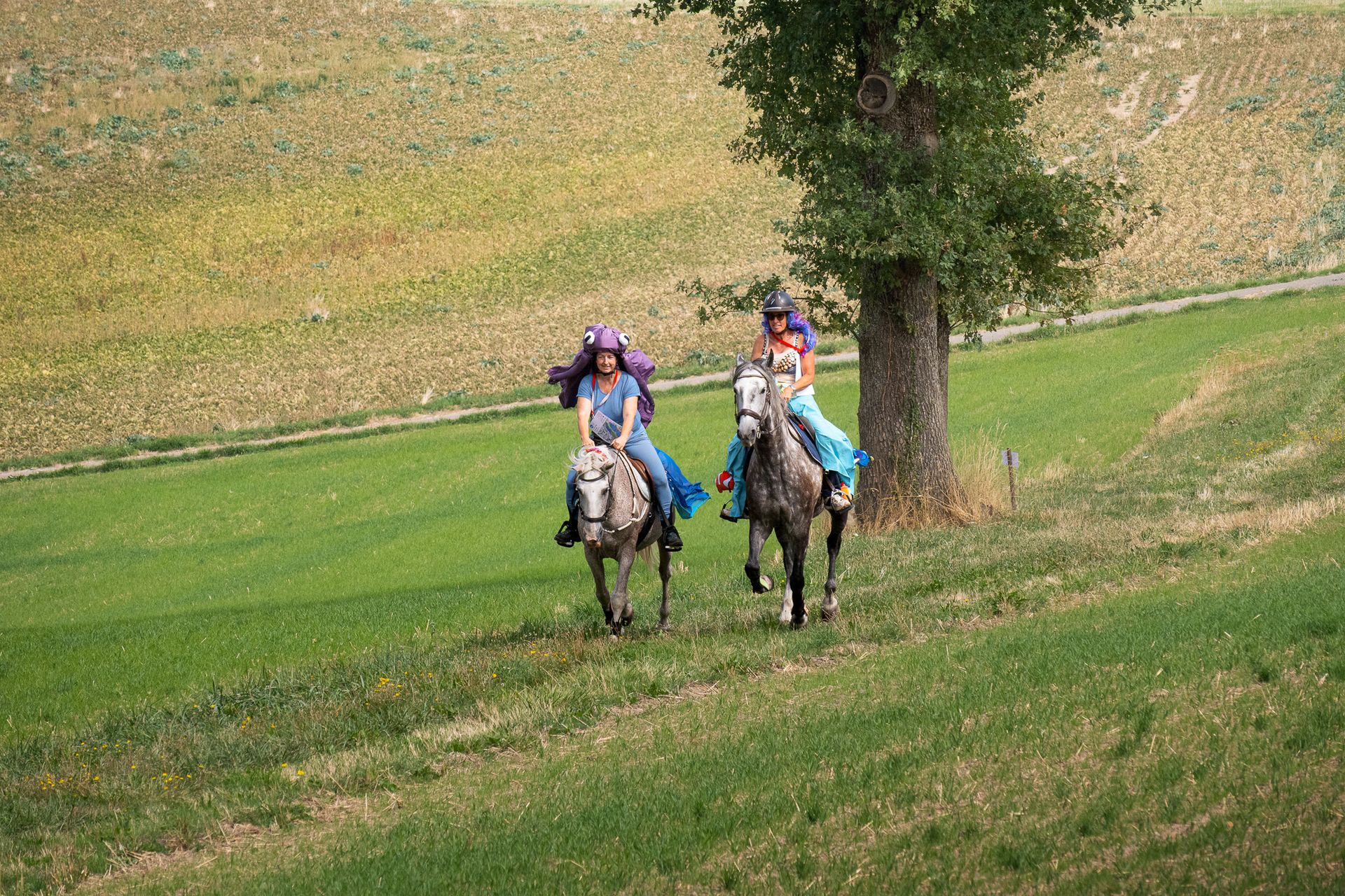 Horsestrail Combremont du 5 septembre 2026 — photo 151 du reportage PawsOnTrack