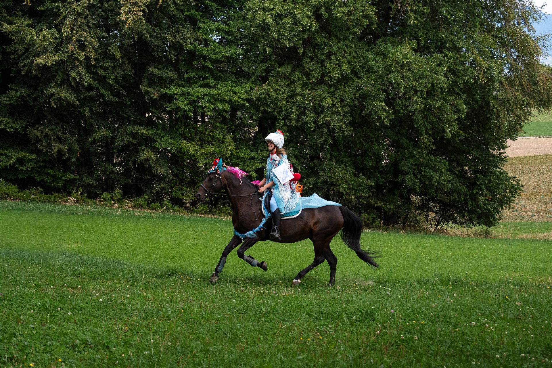 Horsestrail Combremont du 5 septembre 2026 — photo 136 du reportage PawsOnTrack