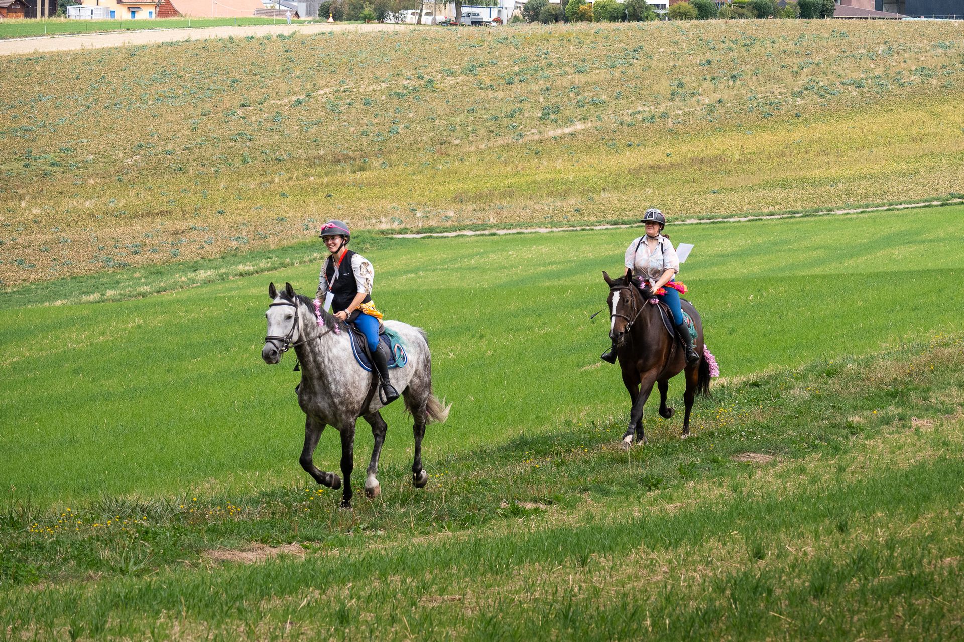 Horsestrail Combremont du 5 septembre 2026 — photo 178 du reportage PawsOnTrack