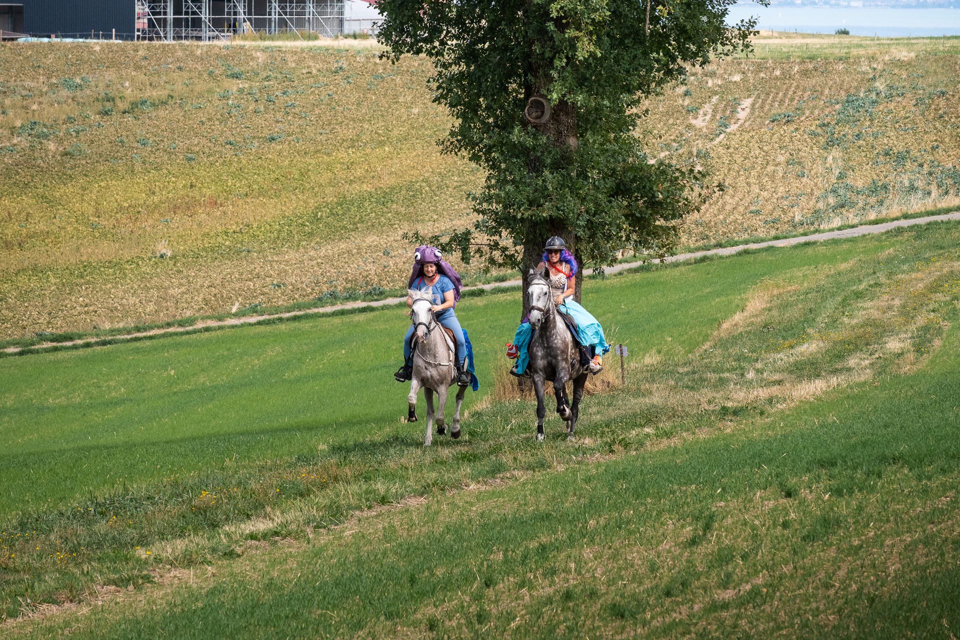Horsestrail Combremont du 5 septembre 2026 — photo 169 du reportage PawsOnTrack