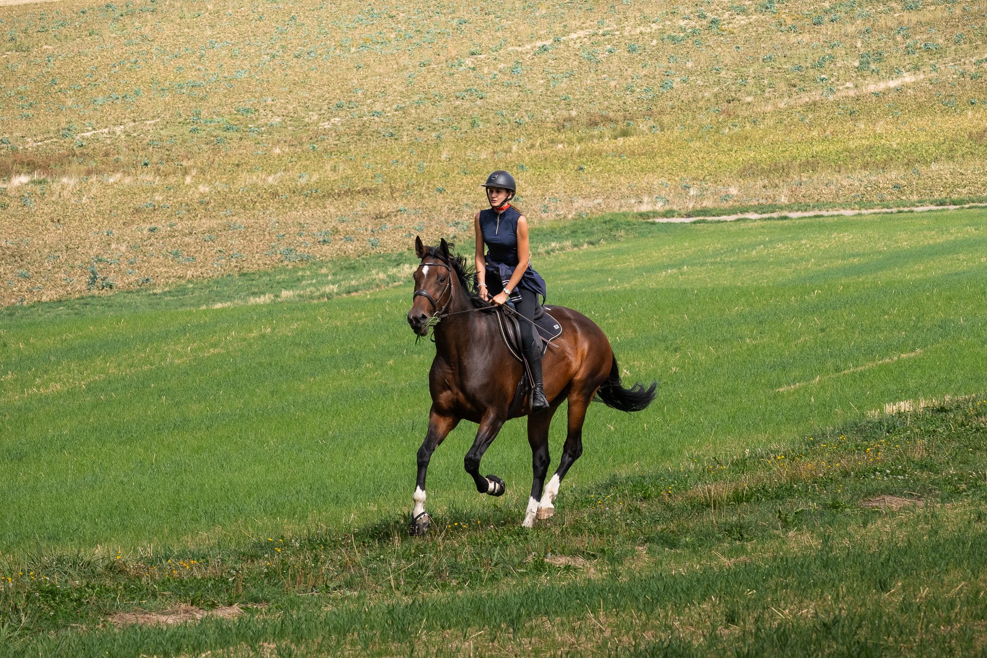 Horsestrail Combremont du 5 septembre 2026 — photo 148 du reportage PawsOnTrack