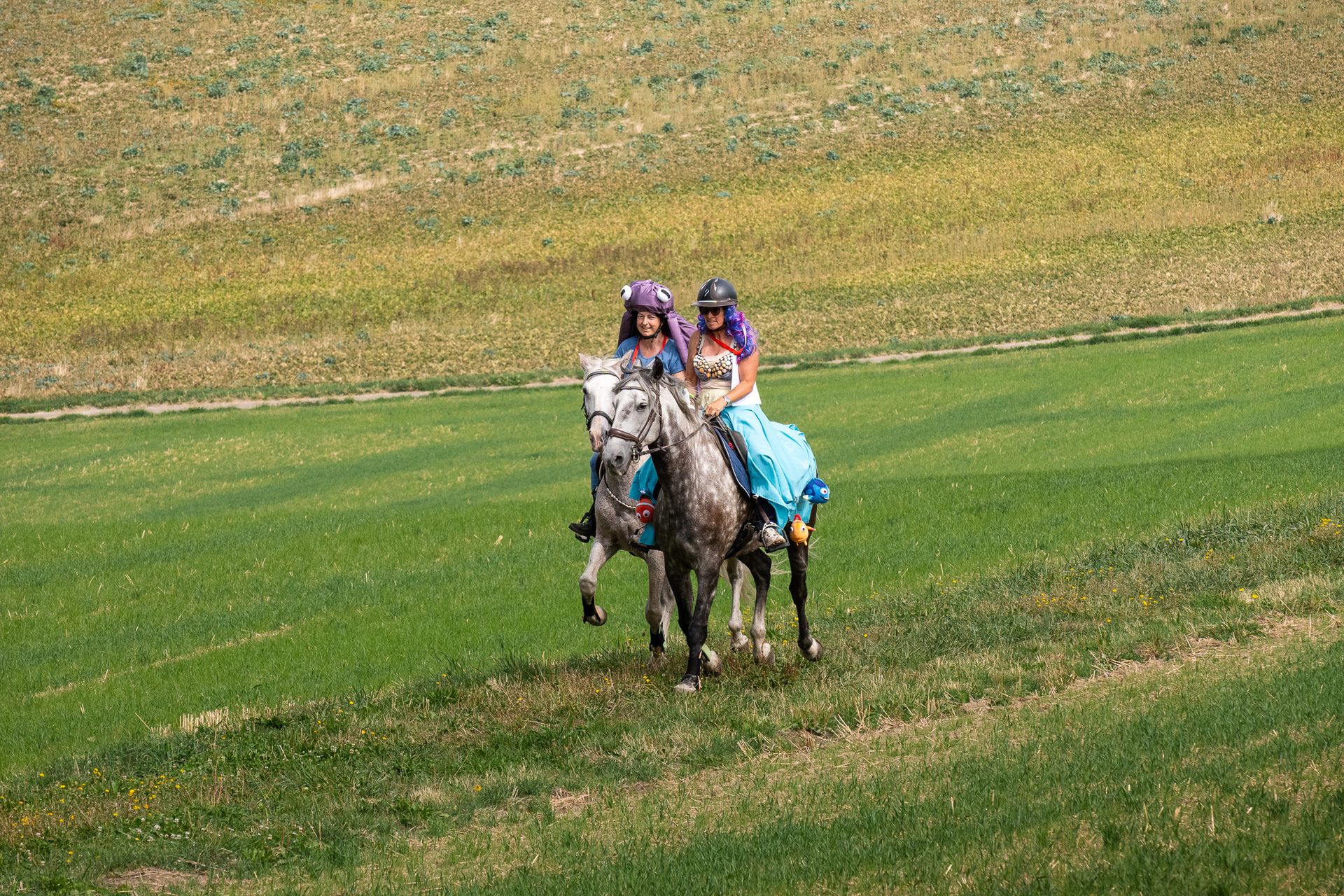 Horsestrail Combremont du 5 septembre 2026 — photo 154 du reportage PawsOnTrack