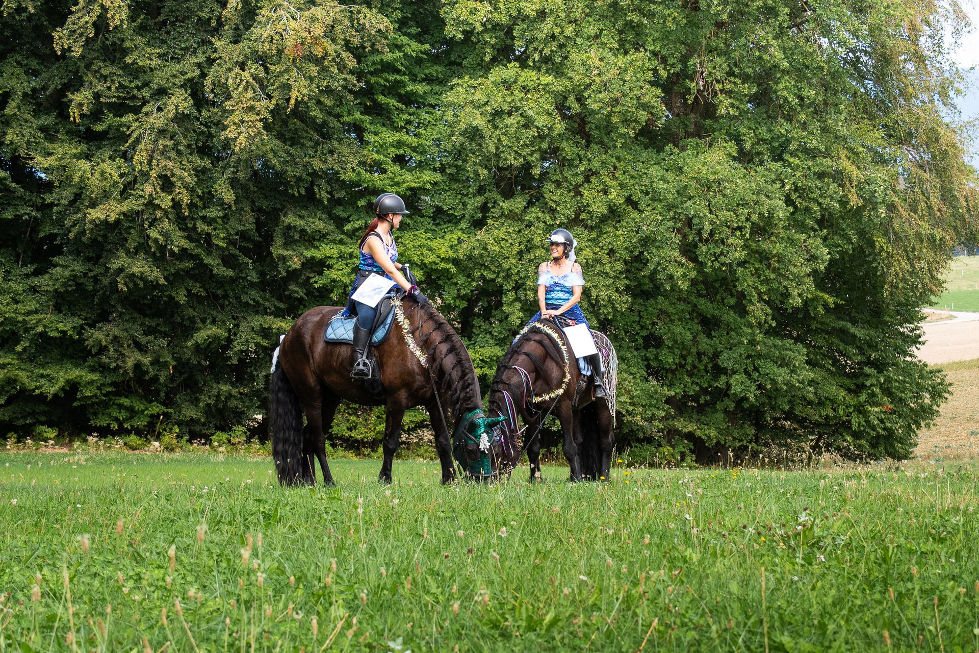 Horsestrail Combremont du 5 septembre 2026 — photo 193 du reportage PawsOnTrack