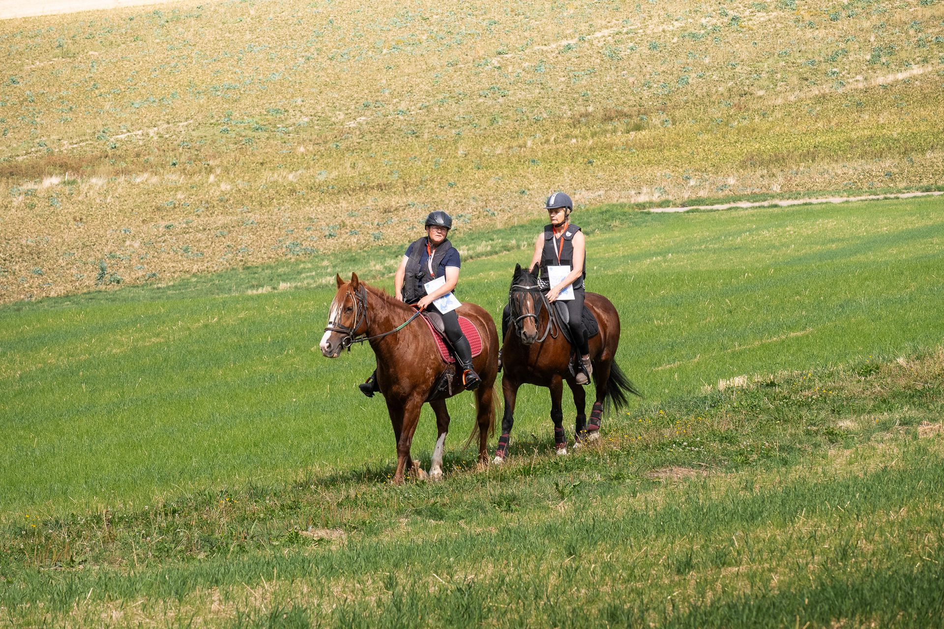 Horsestrail Combremont du 5 septembre 2026 — photo 175 du reportage PawsOnTrack