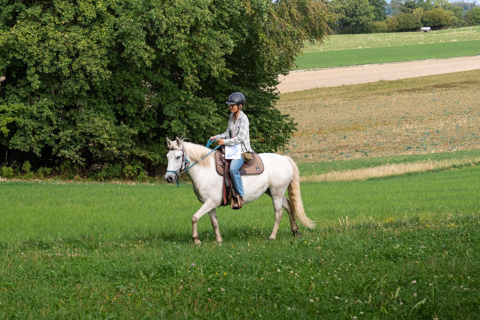 Horsestrail Combremont du 5 septembre 2026 — photo 187 du reportage PawsOnTrack