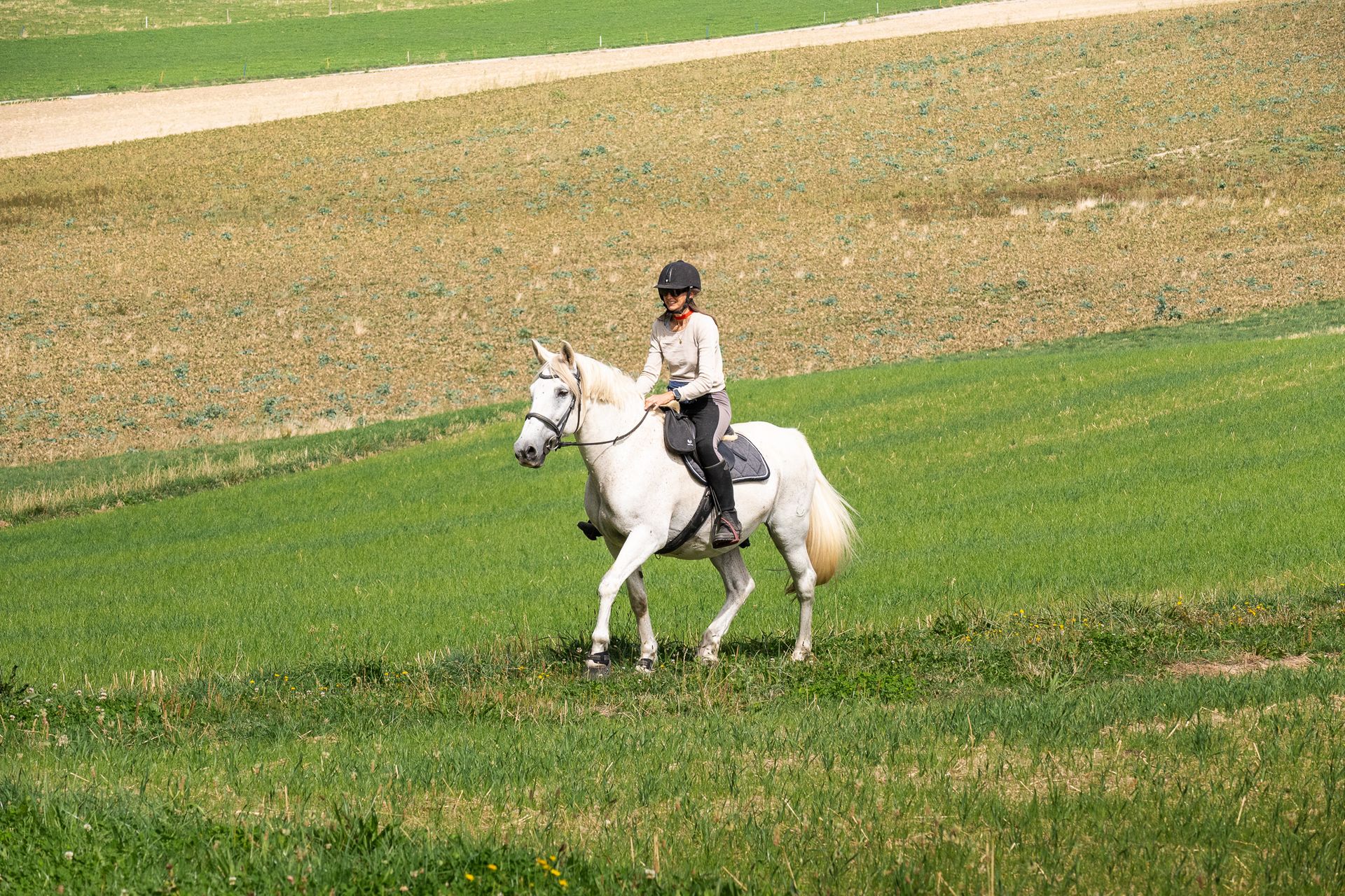 Horsestrail Combremont du 5 septembre 2026 — photo 181 du reportage PawsOnTrack