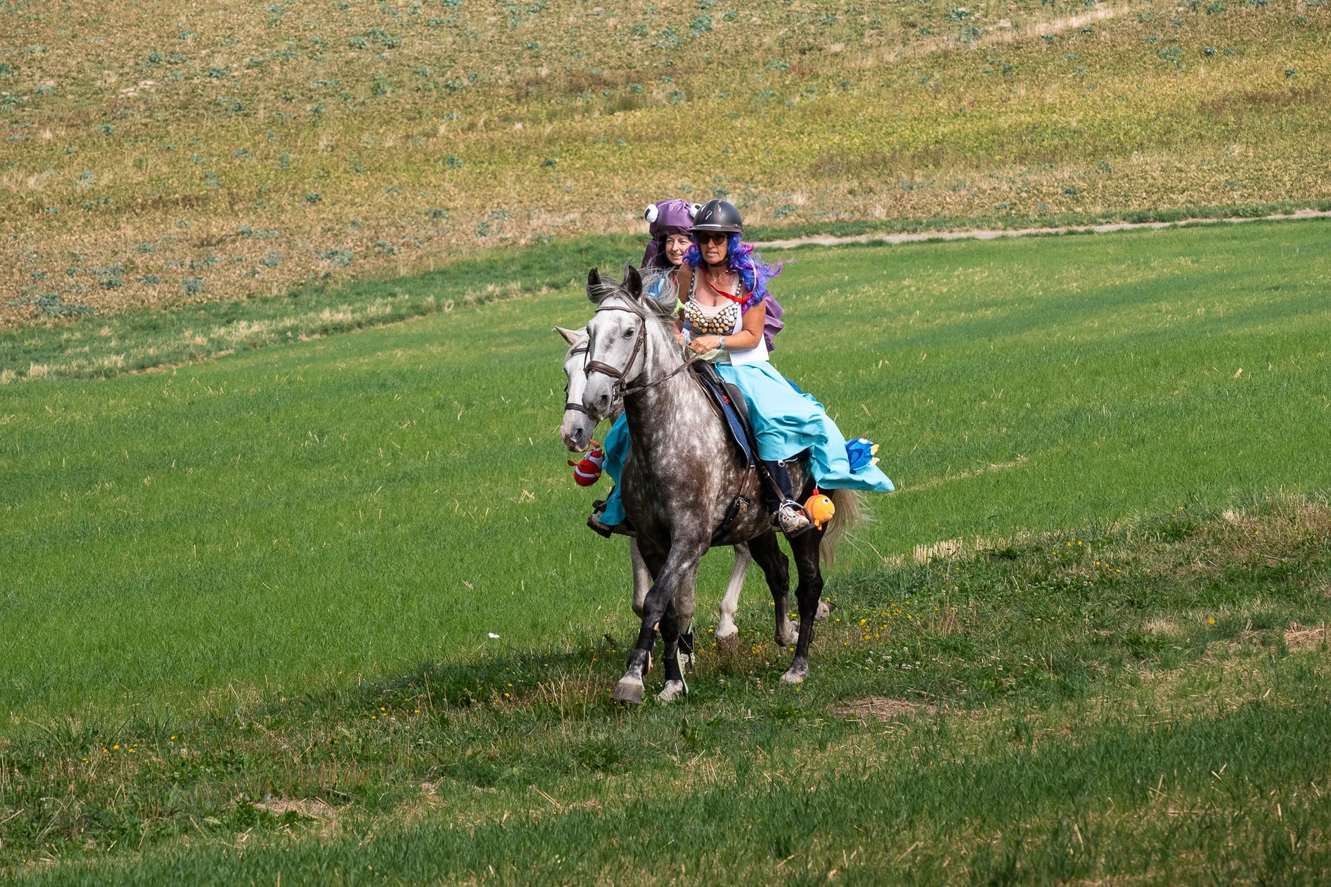 Horsestrail Combremont du 5 septembre 2026 — photo 103 du reportage PawsOnTrack