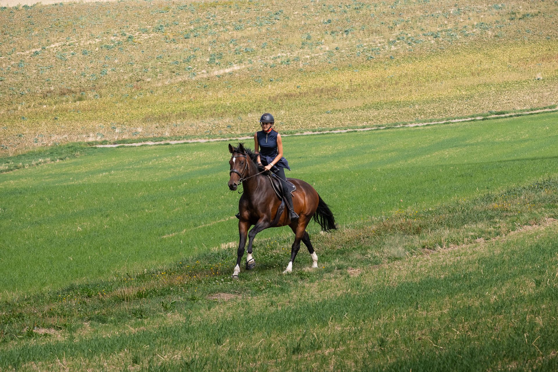 Horsestrail Combremont du 5 septembre 2026 — photo 157 du reportage PawsOnTrack