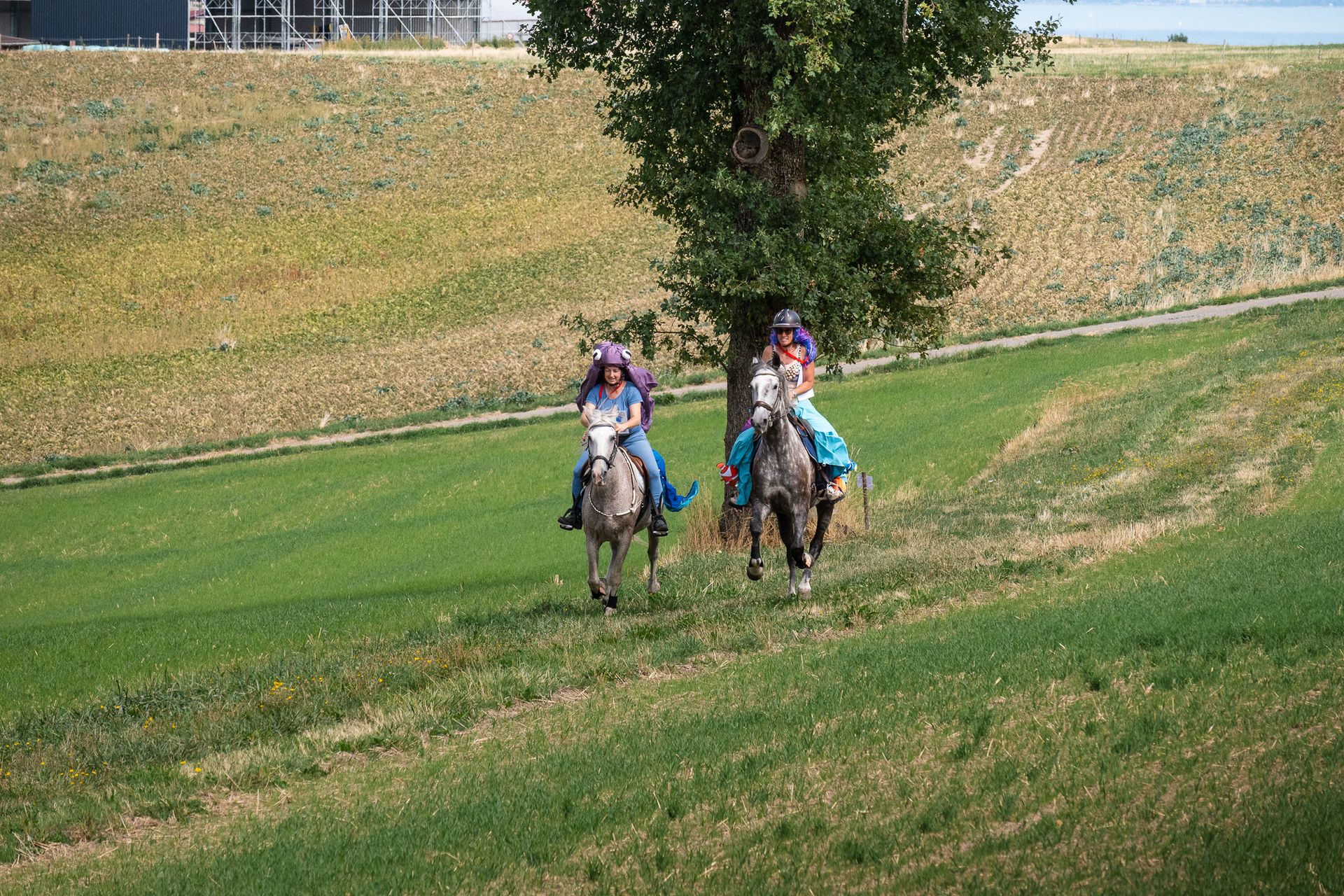 Horsestrail Combremont du 5 septembre 2026 — photo 160 du reportage PawsOnTrack