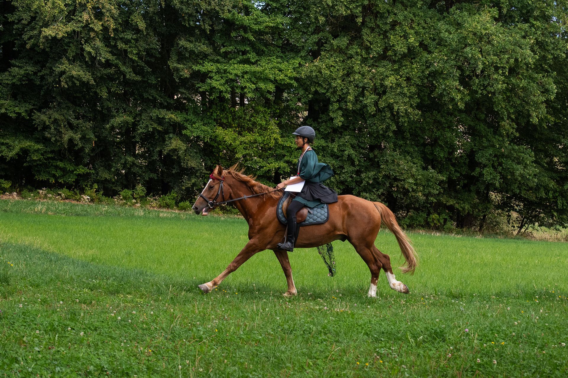Horsestrail Combremont du 5 septembre 2026 — photo 163 du reportage PawsOnTrack