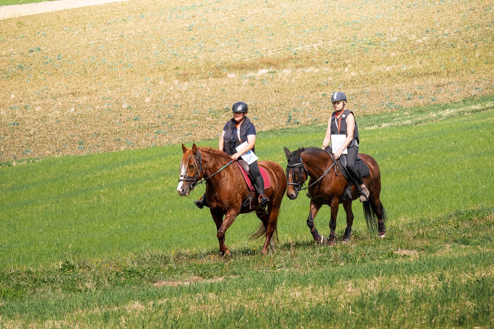 Horsestrail Combremont du 5 septembre 2026 — photo 166 du reportage PawsOnTrack
