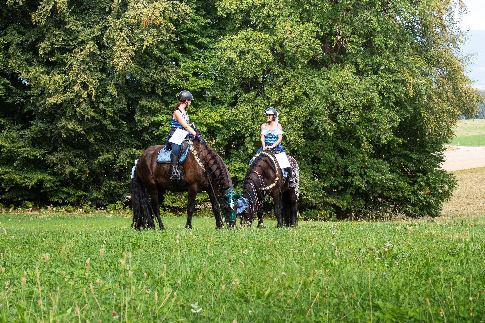 Horsestrail Combremont du 5 septembre 2026 — photo 194 du reportage PawsOnTrack