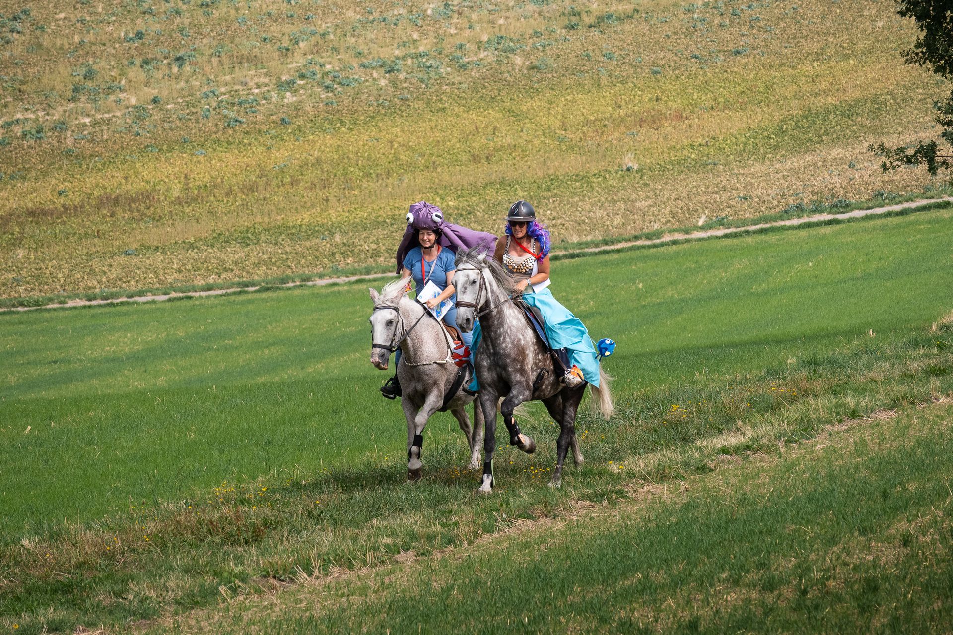 Horsestrail Combremont du 5 septembre 2026 — photo 96 du reportage PawsOnTrack